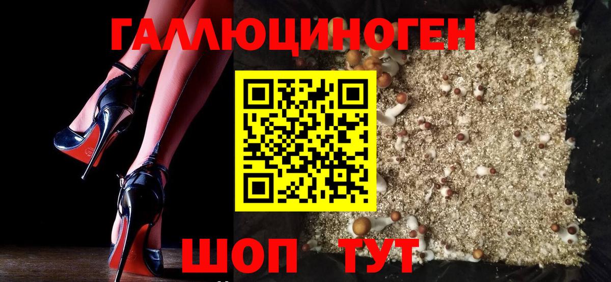 Псилоцибиновые грибы MAGIC MUSHROOMS Луховицы